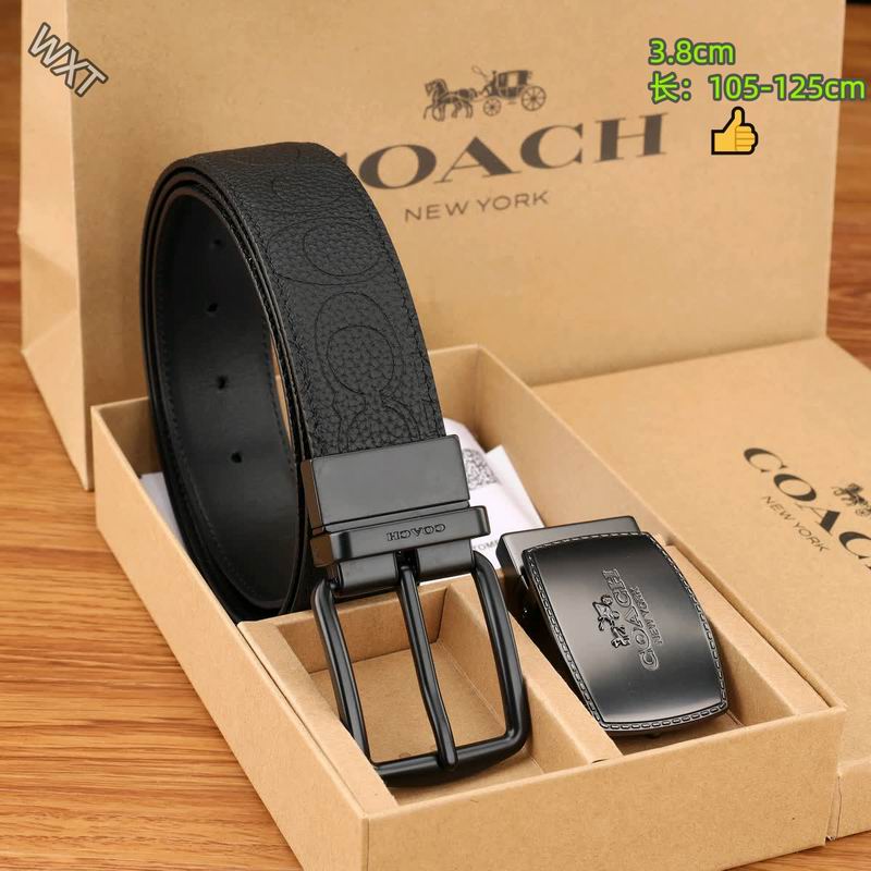 Coach belt 38mmX105-125cm 8L37